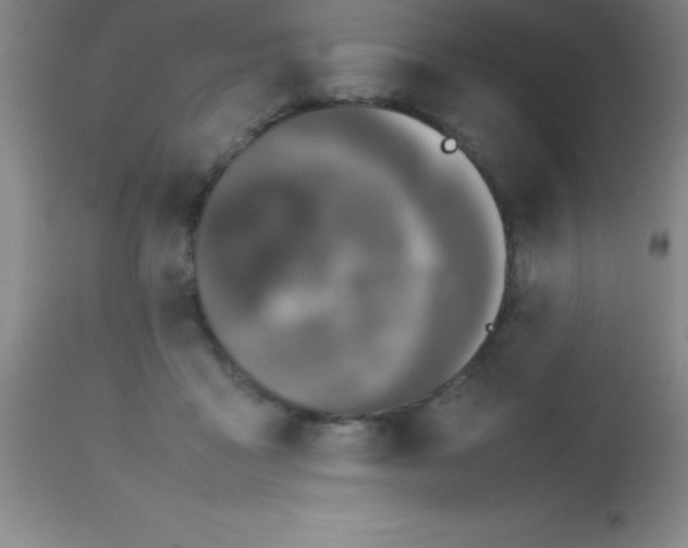 X0000113850411200910151217