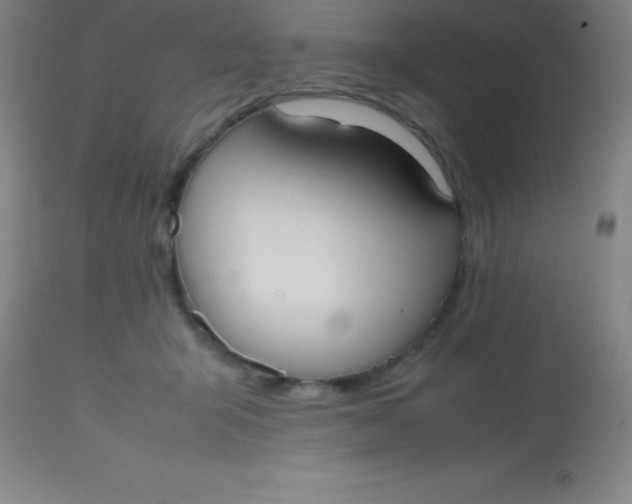 X0000113850415200910151217