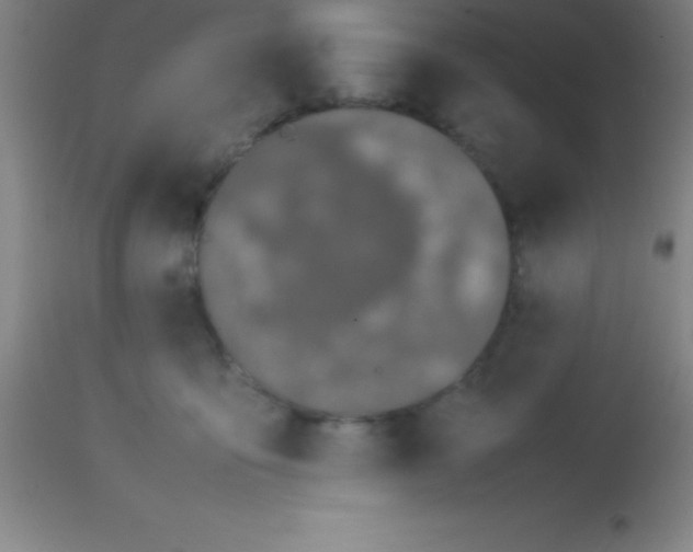 X0000113850419200910151217