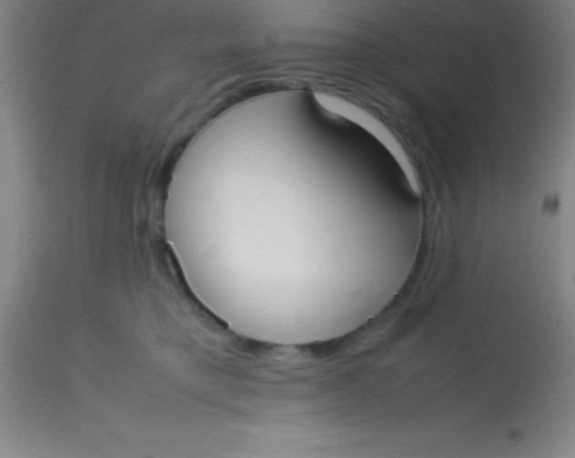 X0000113850421200910151217