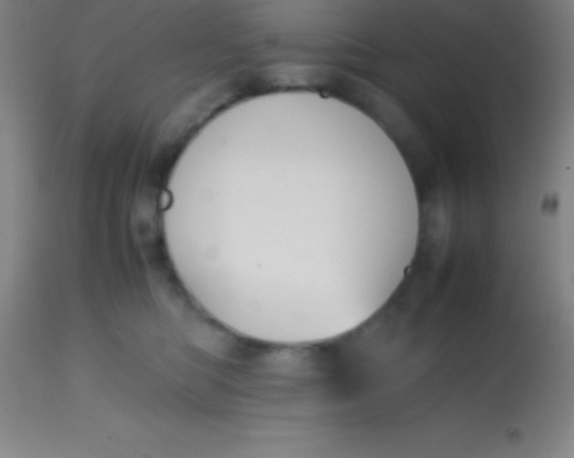 X0000113850422200910151217