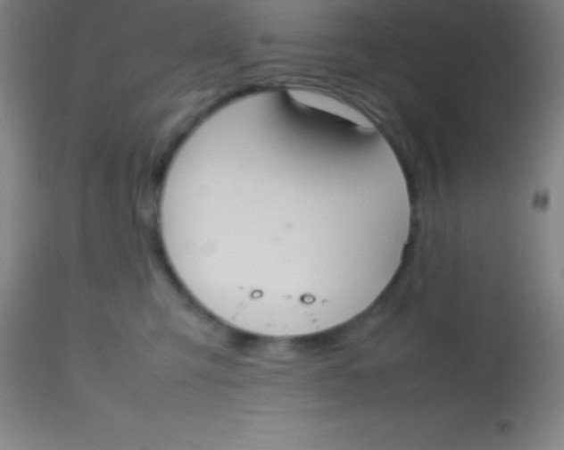 X0000113850423200910151217