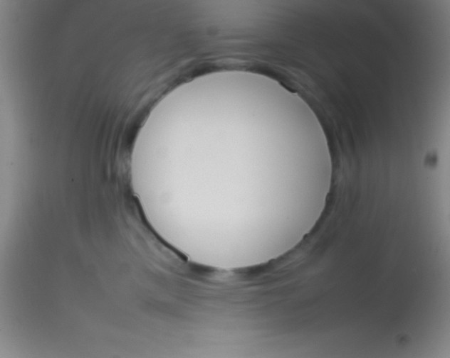 X0000113850425200910151217