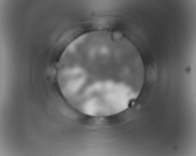 X0000113850427200910151216