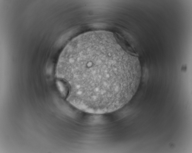 X0000113850428200910151216