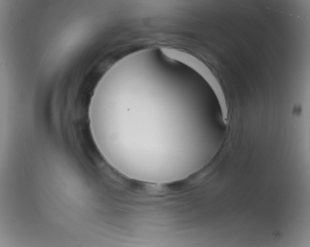 X0000113850429200910151216