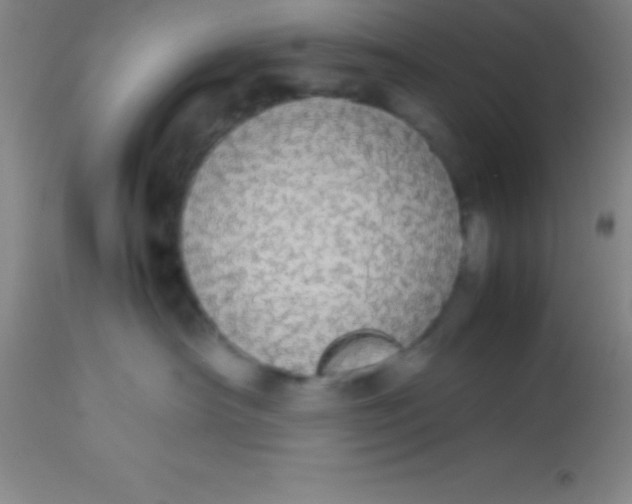 X0000113850430200910151216