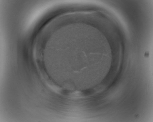 X0000113850431200910151216