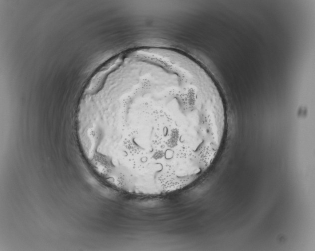 X0000113850433200910151216