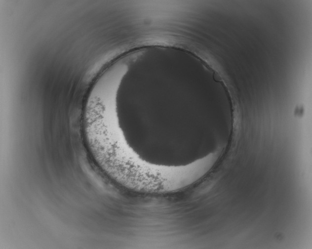 X0000113850434200910151216