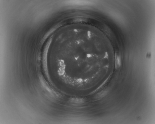 X0000113850435200910151216