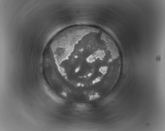 X0000113850439200910151216