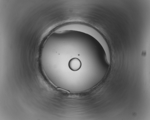 X0000113850440200910151216