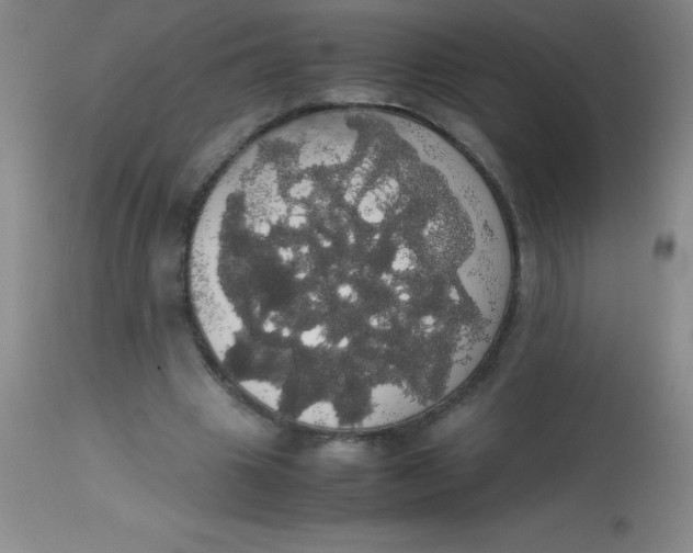 X0000113850441200910151216