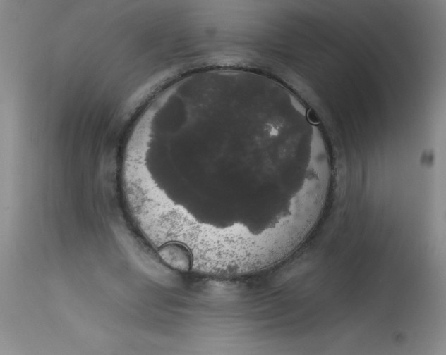 X0000113850442200910151216