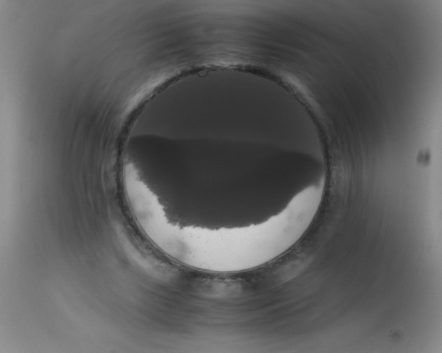 X0000113850443200910151216