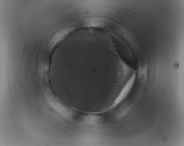 X0000113850444200910151216