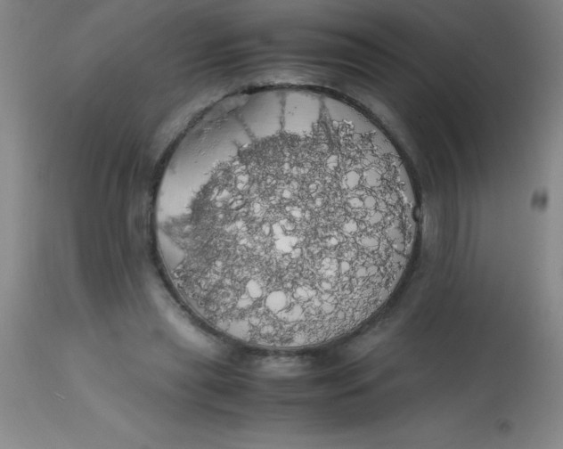 X0000113850445200910151216