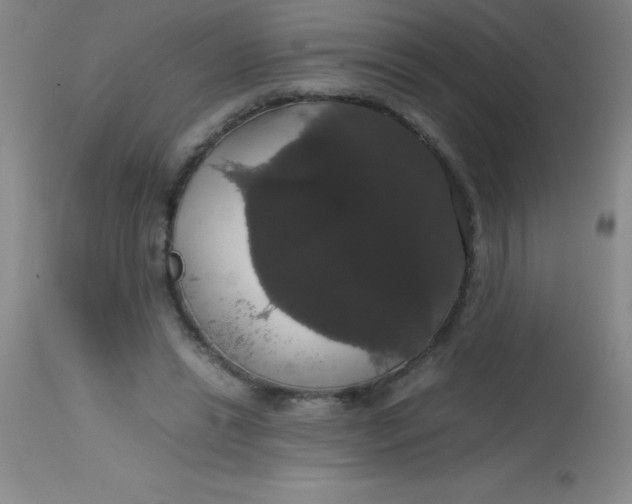 X0000113850446200910151216