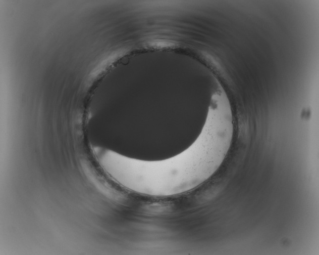 X0000113850447200910151216