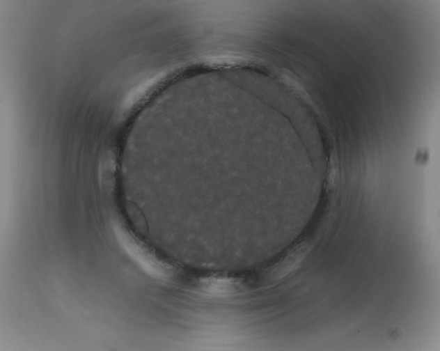 X0000113850448200910151216