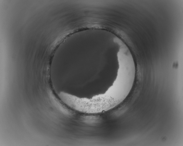 X0000113850449200910151216