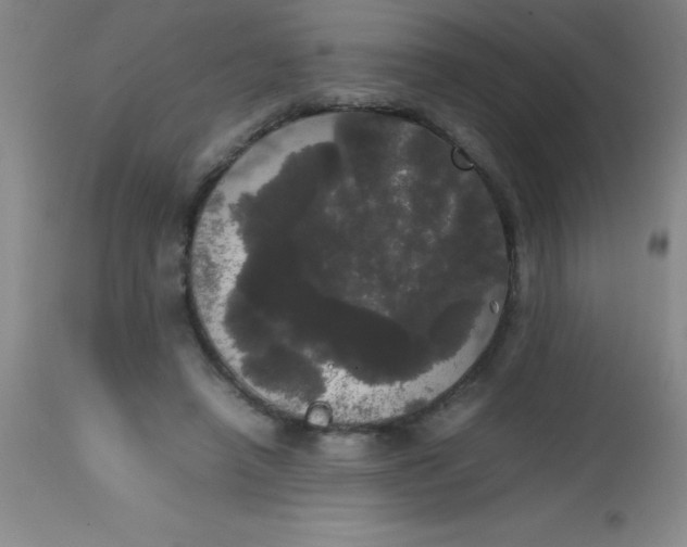 X0000113850450200910151216