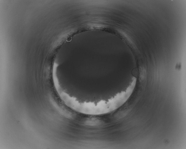 X0000113850451200910151216