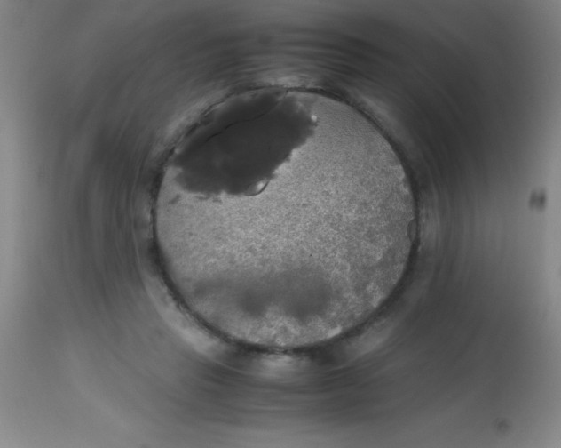 X0000113850453200910151216