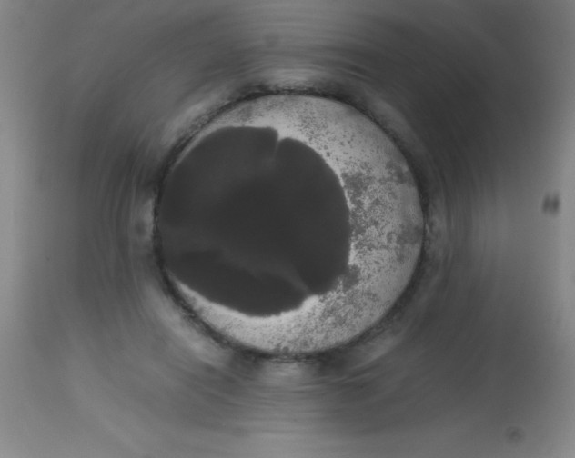 X0000113850454200910151216