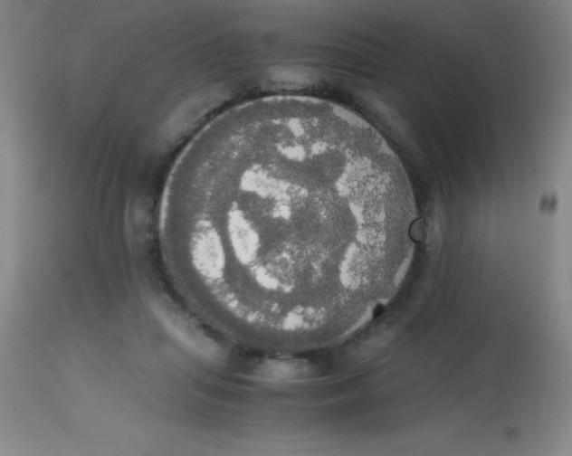 X0000113850455200910151216