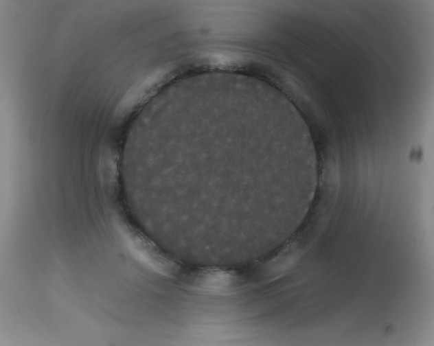 X0000113850456200910151216