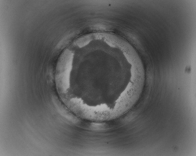 X0000113850457200910151216