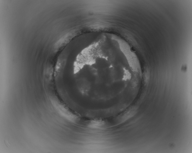 X0000113850458200910151216