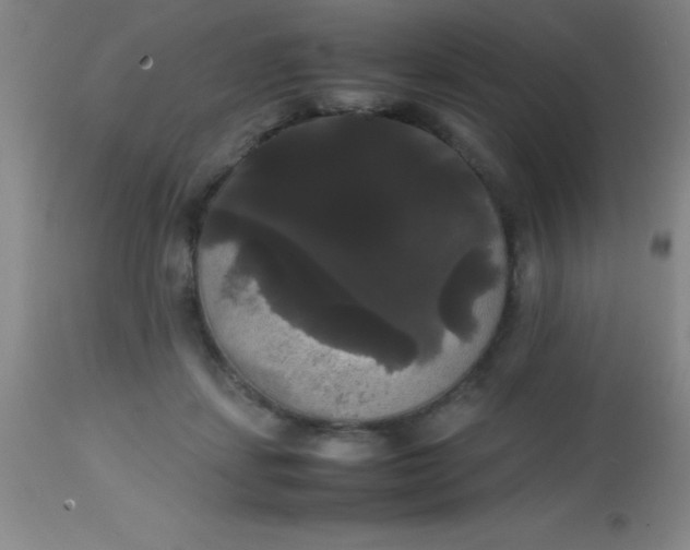 X0000113850459200910151216