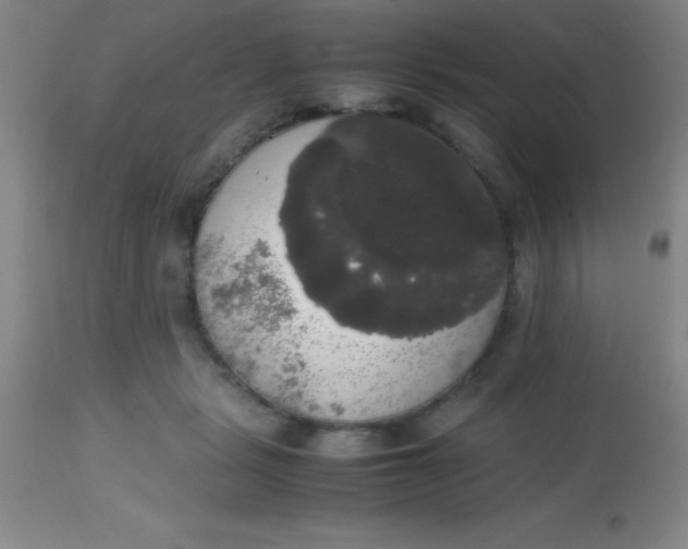 X0000113850461200910151216