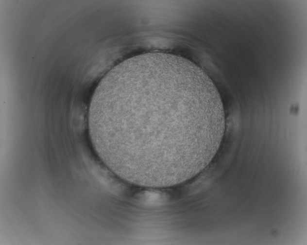 X0000113850464200910151216