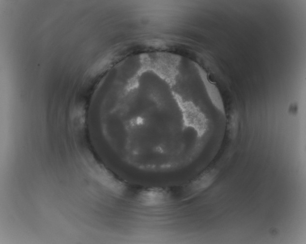 X0000113850466200910151216