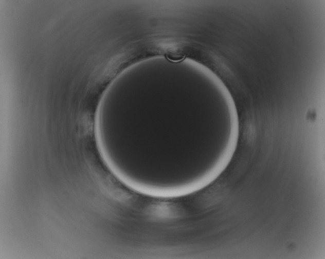 X0000113850467200910151216