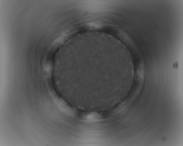 X0000113850468200910151216