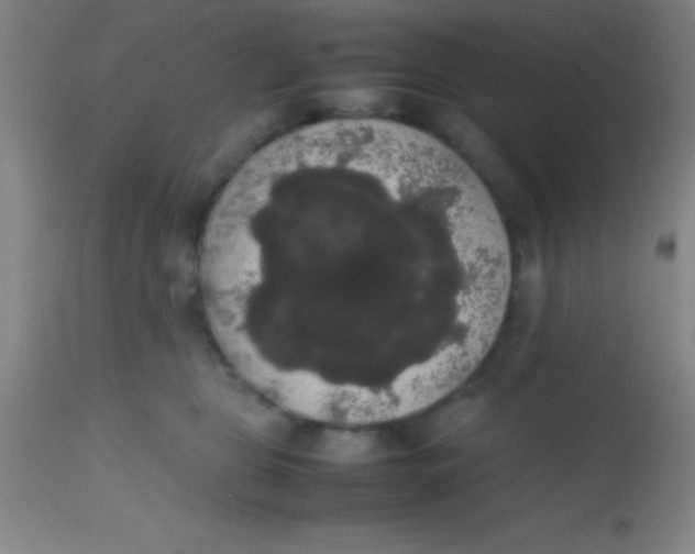 X0000113850469200910151216