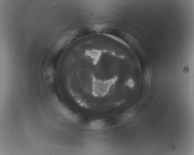 X0000113850470200910151216