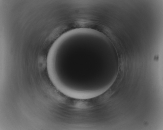 X0000113850471200910151216