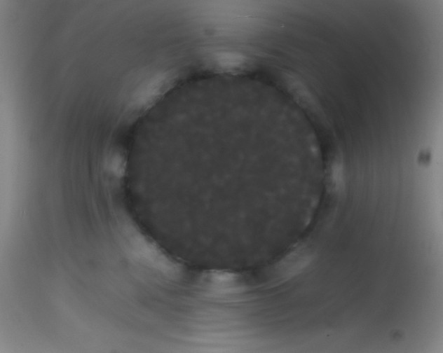 X0000113850472200910151216