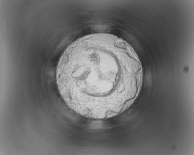 X0000113850473200910151216