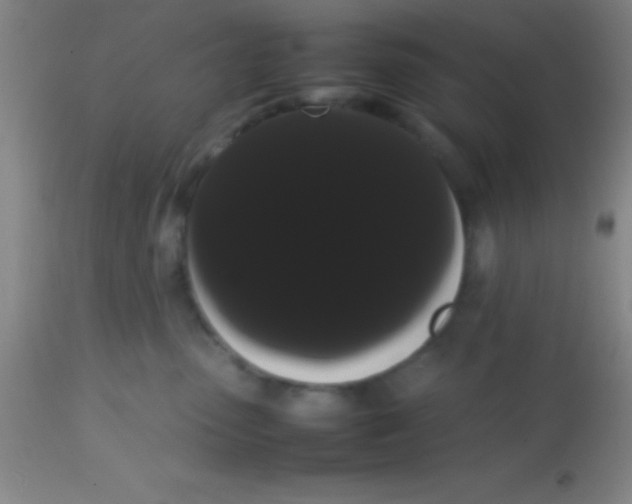 X0000113850475200910151216