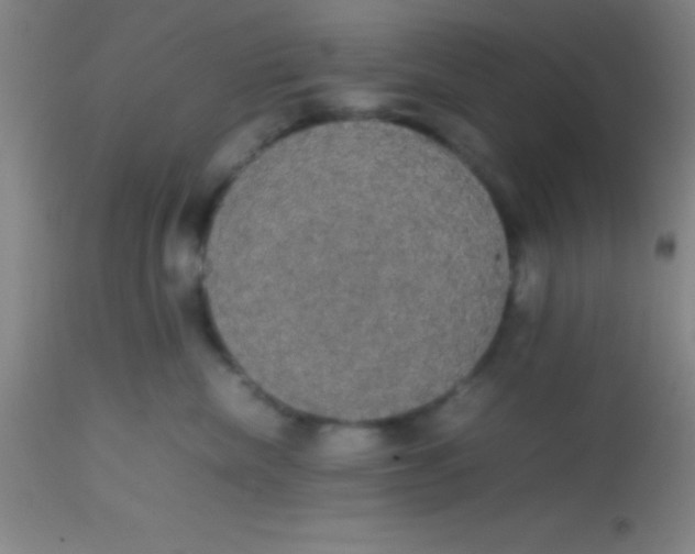 X0000113850476200910151216