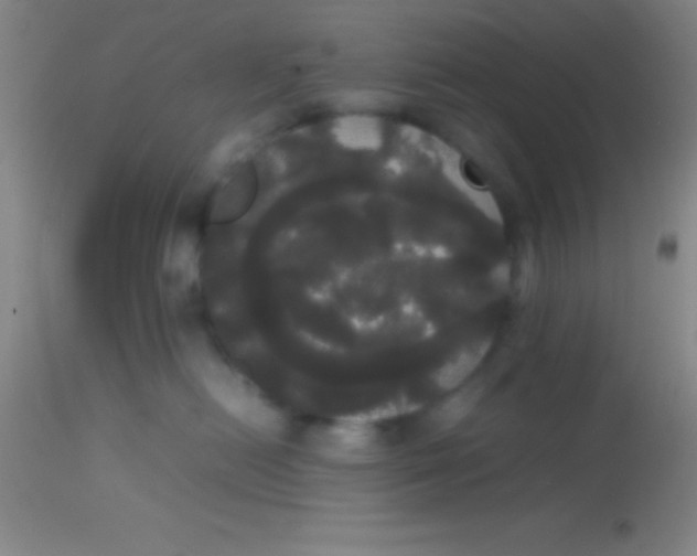 X0000113850478200910151216