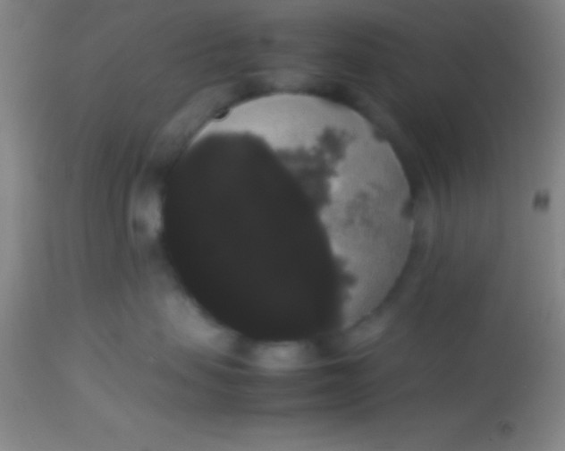 X0000113850479200910151216