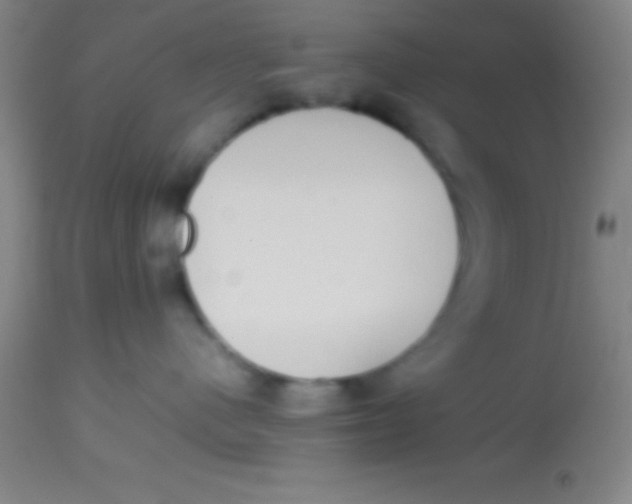 X0000113850480200910151216